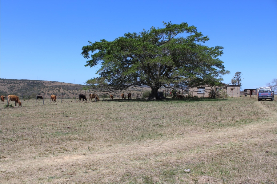 5 Bedroom Property for Sale in Mooiplaas Eastern Cape